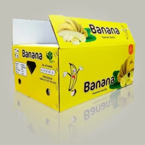 Packaging for Fruits and Vegetables